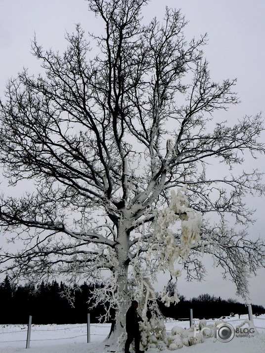 braucām ūdens torni lūkoties