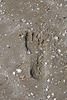 pēda Rimini pludmalē