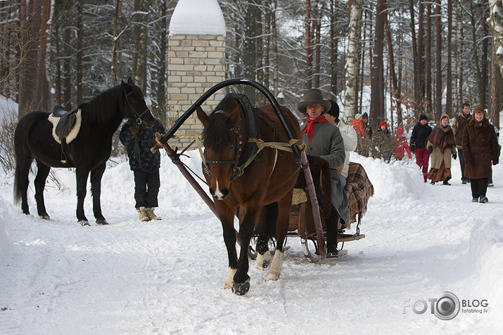 Meteņa diena Brīvdabas muzejā