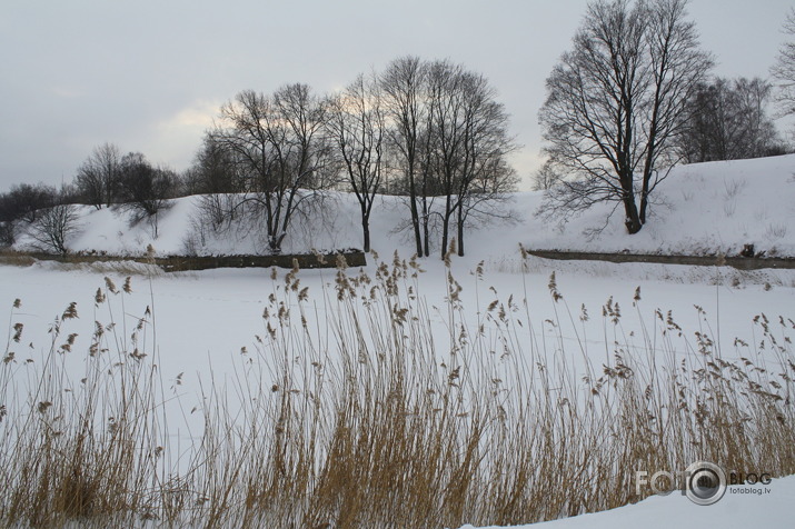 Daugavgrīva