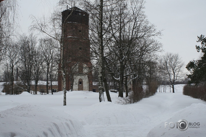 Daugavgrīva