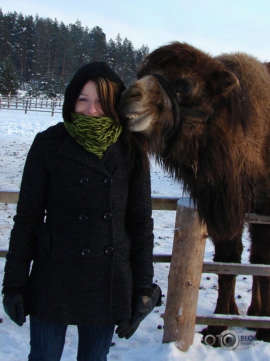 Lamas ar gaumi !! :D