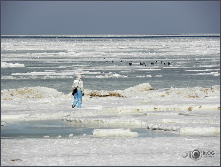Vārnas sauļojas...