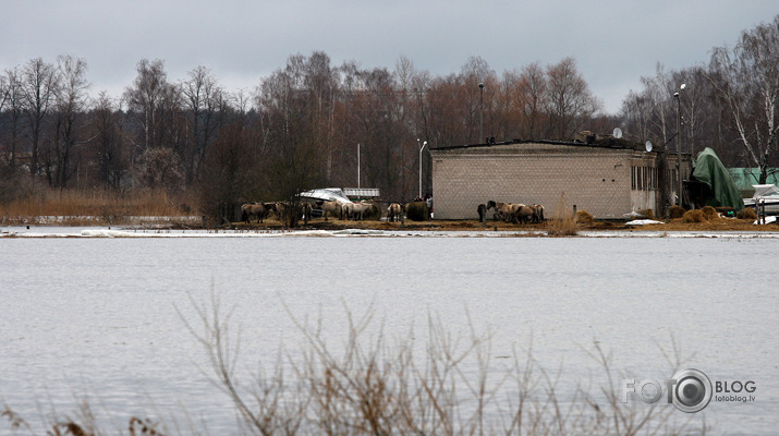 No Dobeles līdz Jelgavai