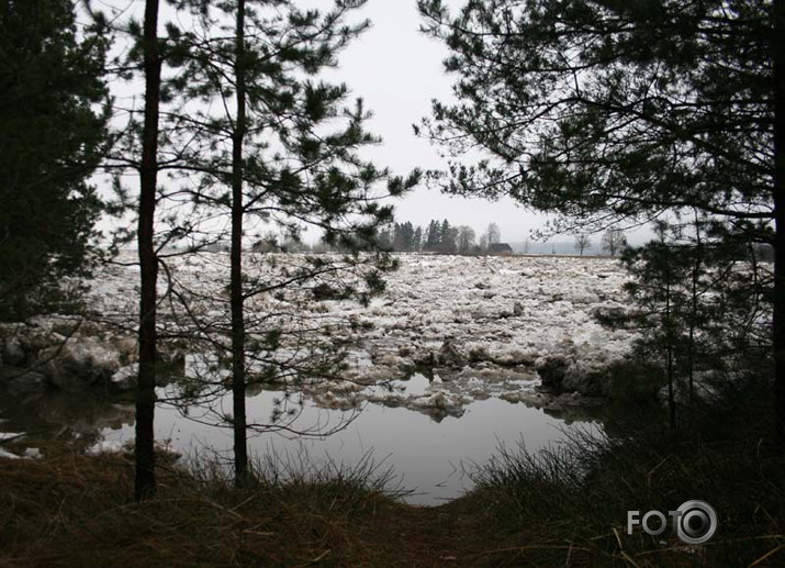 Plūdi (Zlēkas, Nabas ezers)