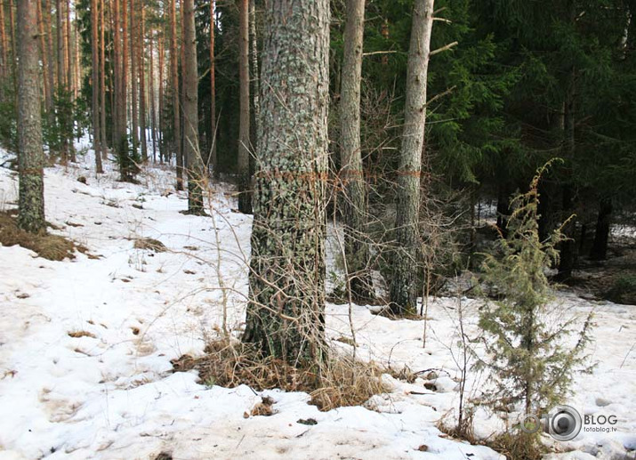Kad ūdens līmenis strauji pazeminās