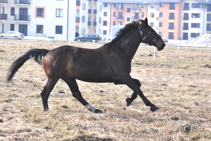 Rikšojam,auļojam,speram un kožam