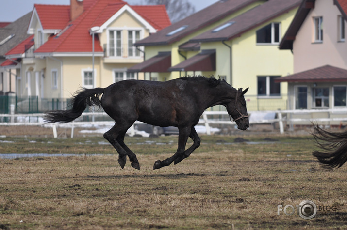 Rikšojam,auļojam,speram un kožam