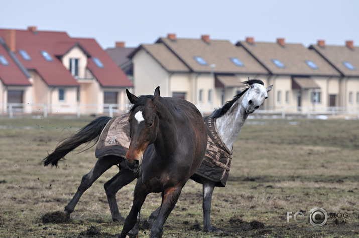 Rikšojam,auļojam,speram un kožam