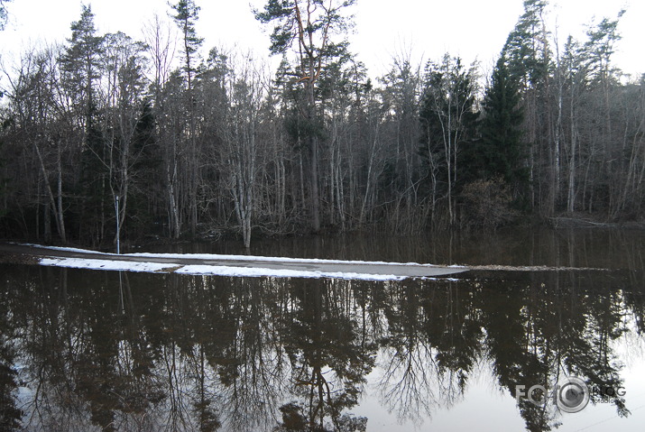 Gauja izplešas