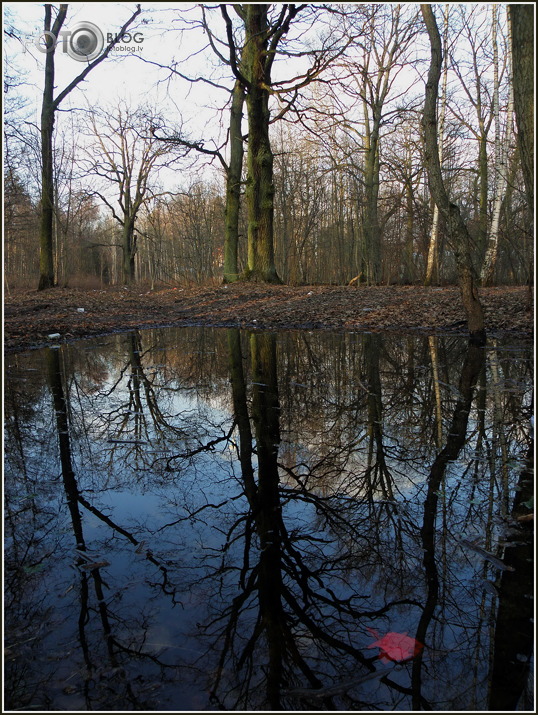 Pavasaris2010
