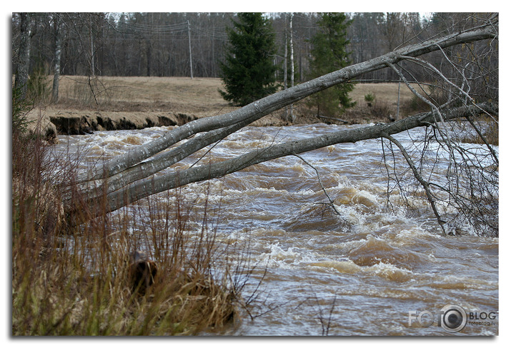 Vēsturei - pavasaris Vidzeme 2010.g.