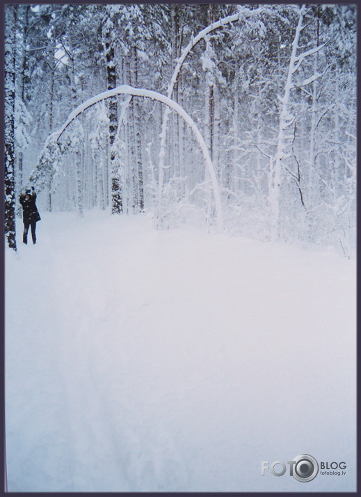 15.aprīlis šodien un 2001.gadā