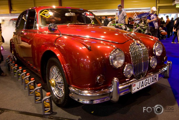 Auto Exotica 2010