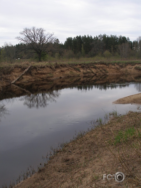 Pavasara zaļumi