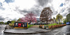 Eden court 2010