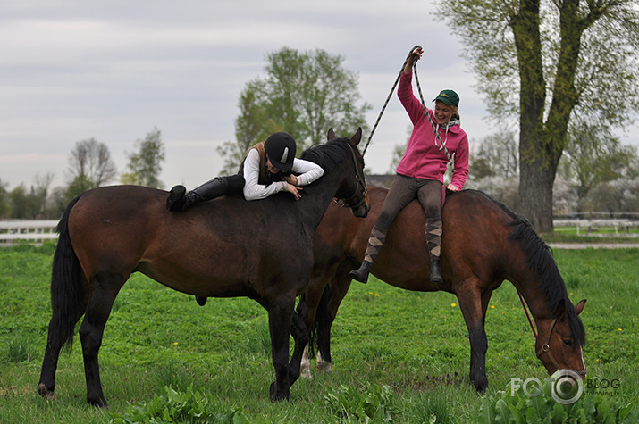 Mākoņaina diena un zirgi  Idaļa