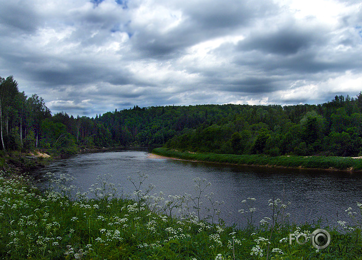 Gauja pie Siguldas