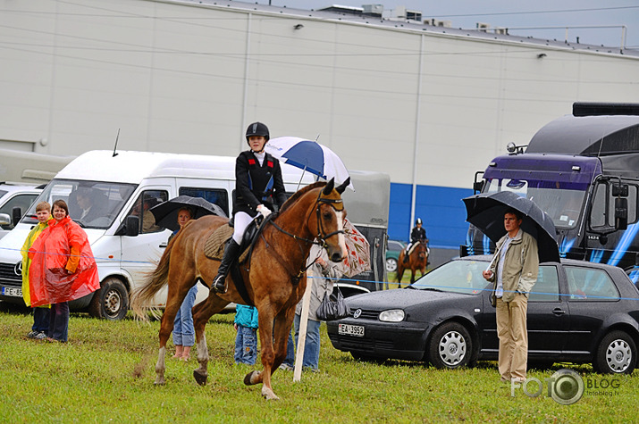 Tīraines kauss II daļa