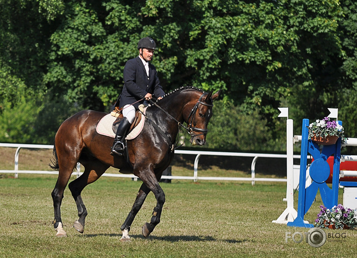 CSI 2*-W noslēgums Gran Pri - 1,5m II daļa