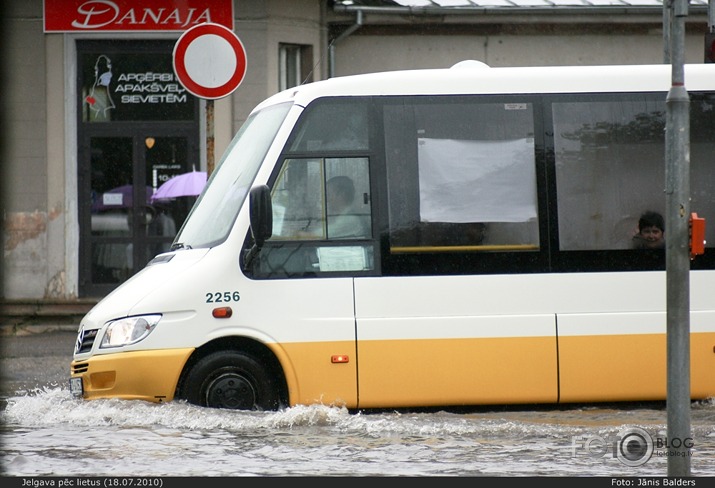 Bik uzlija (Jelgava)