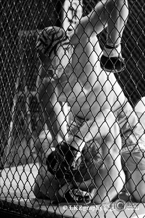 Cage Contender B&W. Dublin