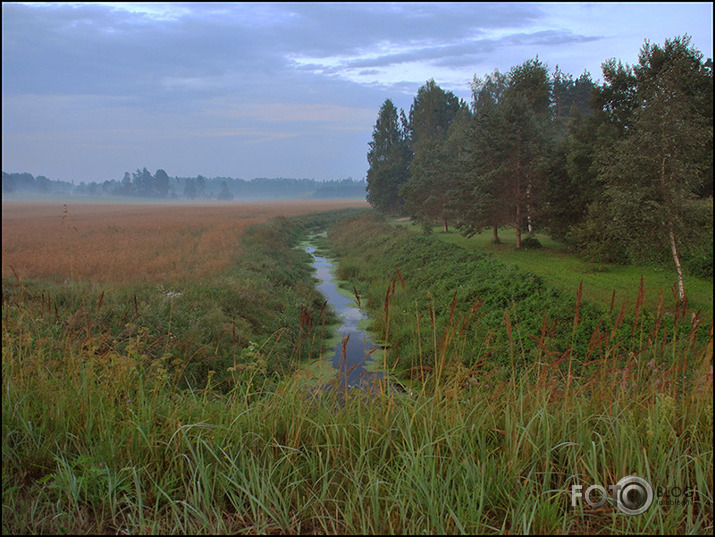 Agrs jūlija rīts