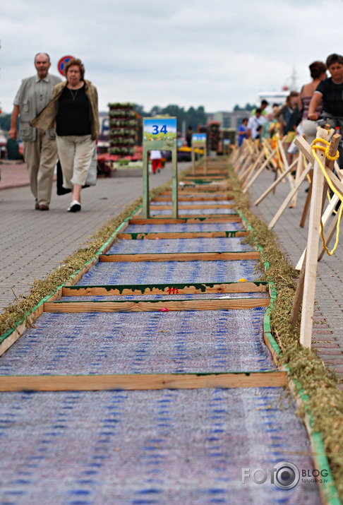 Ginesa rekords-Garākais ziedu paklājs pasaulē,Ventspils 2010,1.daļa