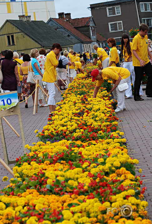 Ginesa rekords-Garākais ziedu paklājs pasaulē,Ventspils 2010,1.daļa