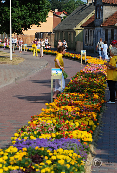 Ginesa rekords-Garākais ziedu paklājs pasaulē,Ventspils 2010,1.daļa