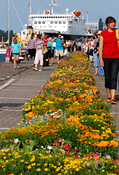 Ginesa rekords-Garākais ziedu paklājs pasaulē,Ventspils 2010,1.daļa