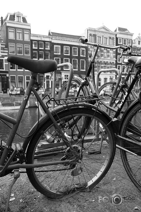 Amsterdama