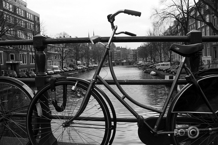 Amsterdama