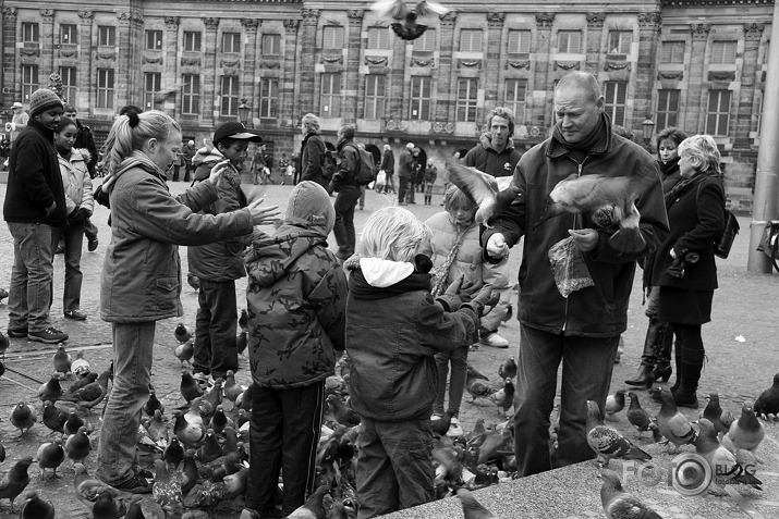 Amsterdama