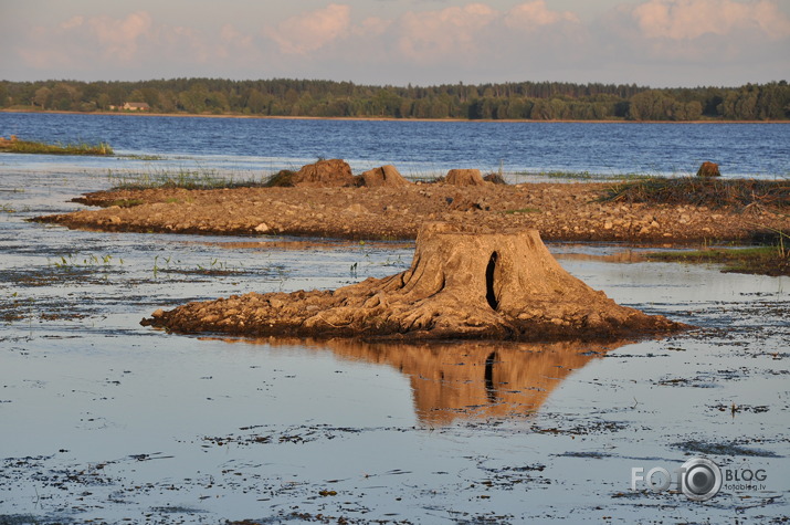 Svētā Meinarda sala