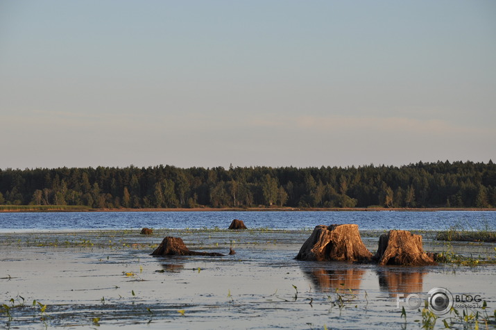 Svētā Meinarda sala