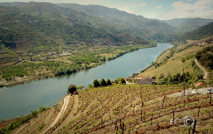 Doru ieleja un Panascal vīna darītava, Portugāle.