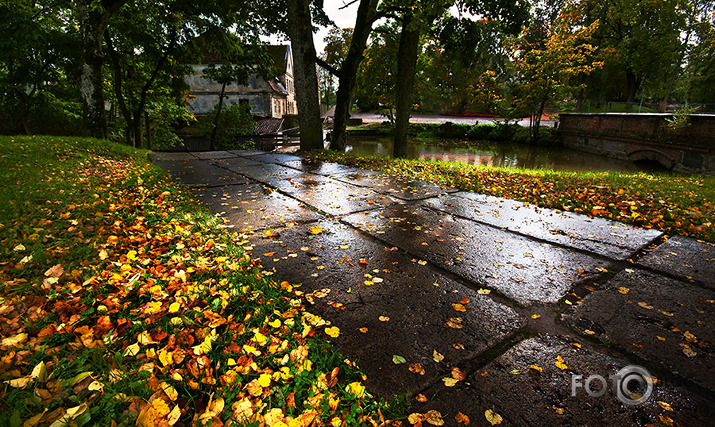 Rudens jau nāk pa pakāpieniem.