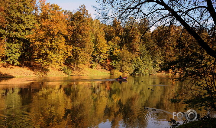 Rudens ainiņa