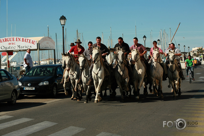 Viena diena Camargue