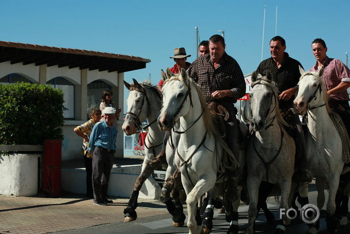 Viena diena Camargue