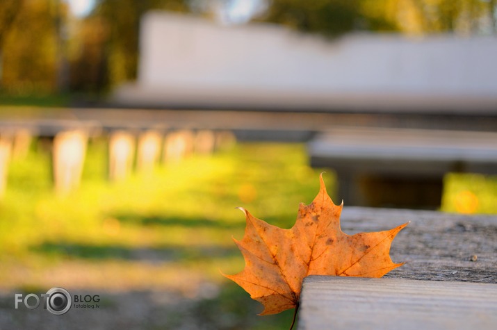 rudens pieskāriens.