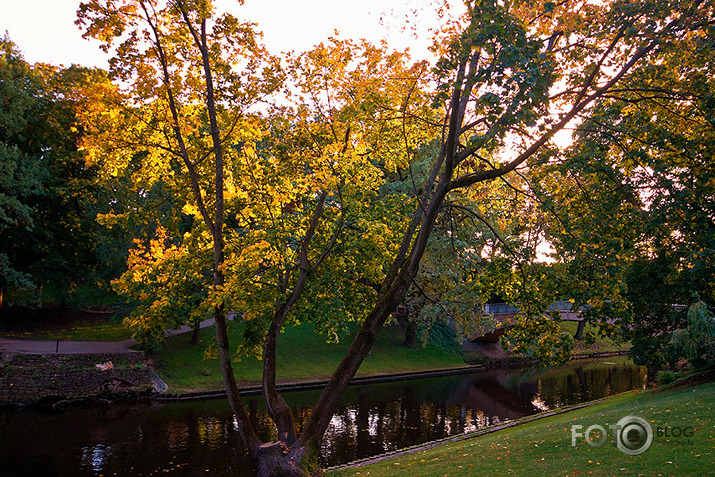 Rudens Rīgā.