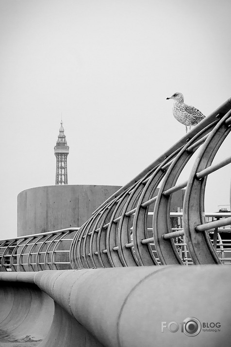 Blackpool