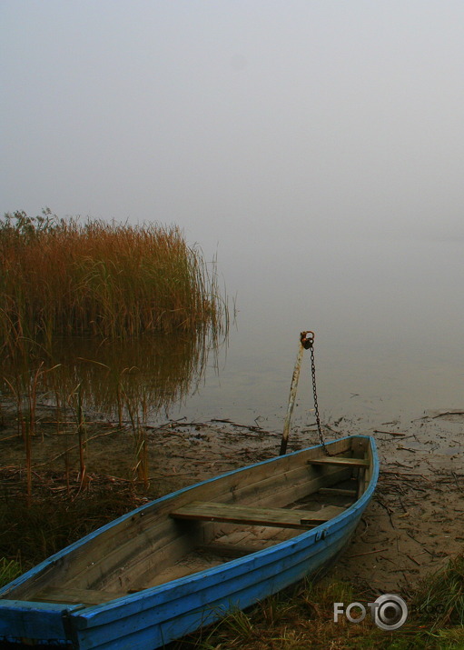 Rīta miglā.
