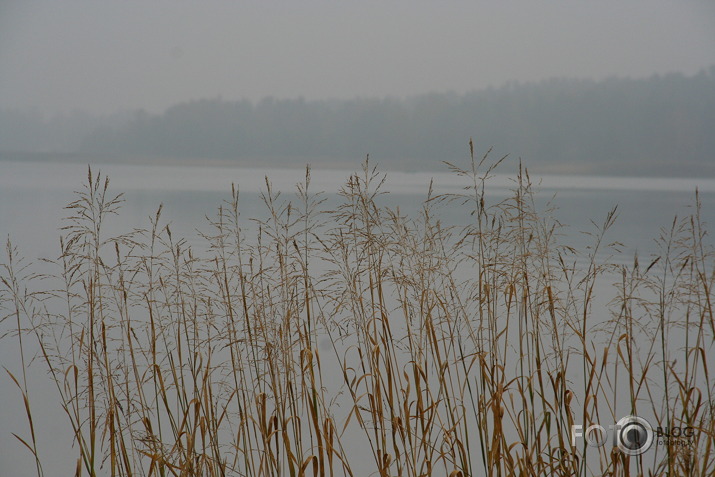 Rīta miglā.