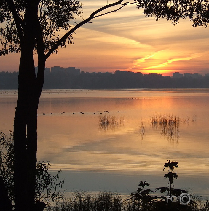 daugava.pretī ķengaragam