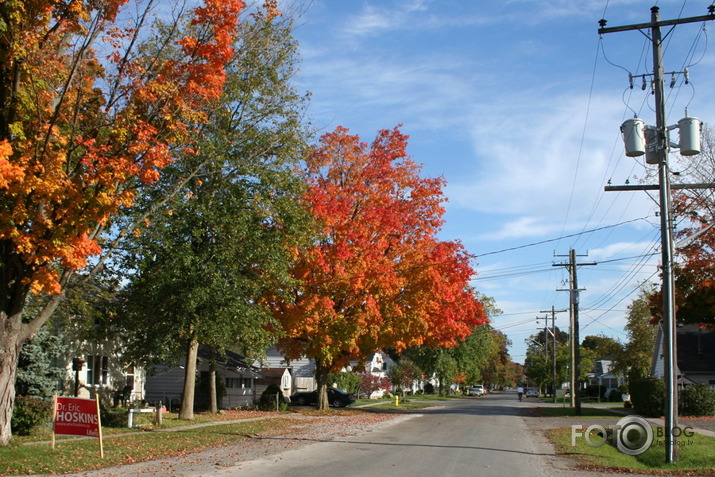 Viena diena Port Dover