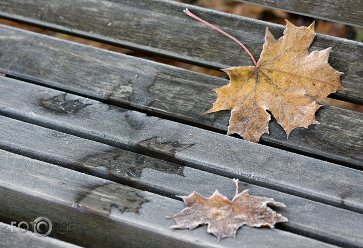 Kad rudens satika salnu...