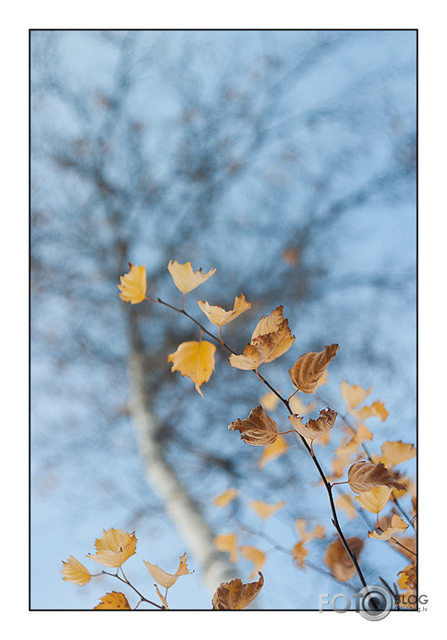 Vienkārši rudens. Andrejsala